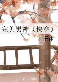 完美男神（快穿）