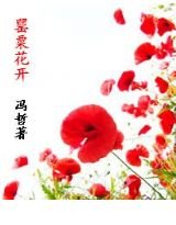 罂粟花开